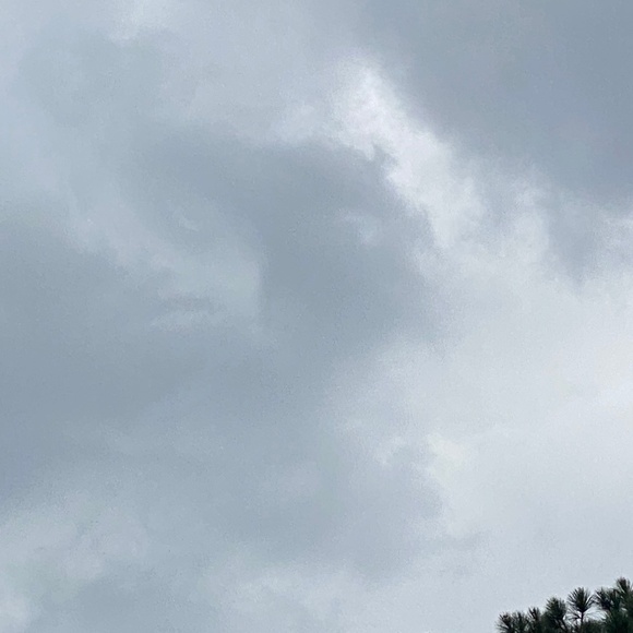 Meet your Posher, Sab - Picture 1 of 1